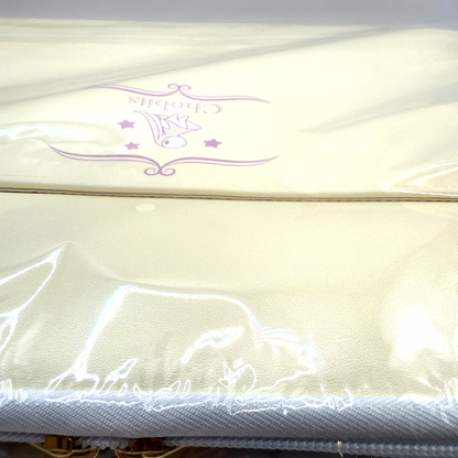 Chobits Clamp Exhibition  Multi accessory Case 260️360️25[express]4