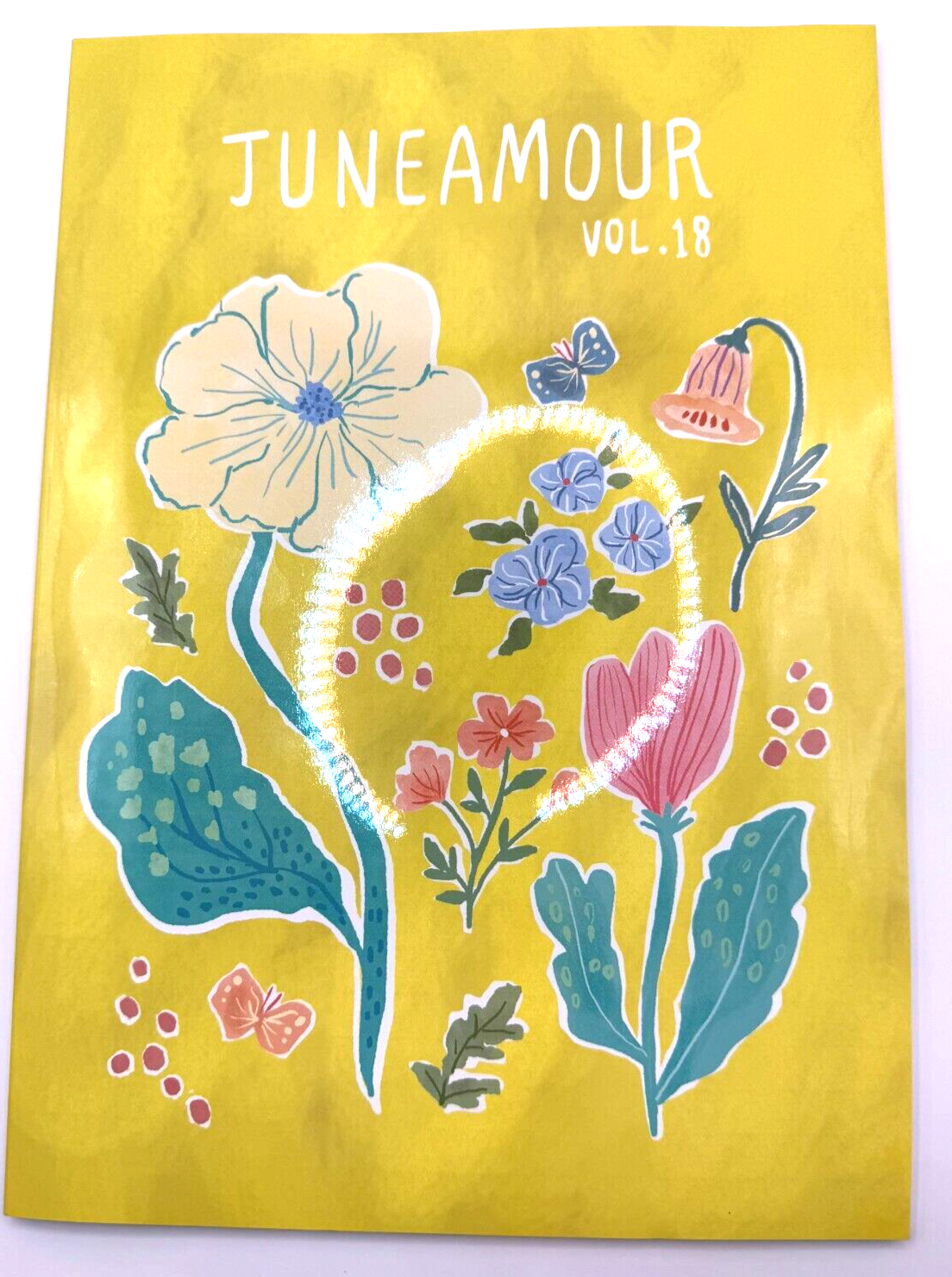 Anime Mook Illustration Art Book Juneamour Vol.18 japan new[express]1