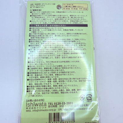 Nintendo Pikmin Terrace Car Smart Key Case Miyajima SA Limited Japan NEW express2