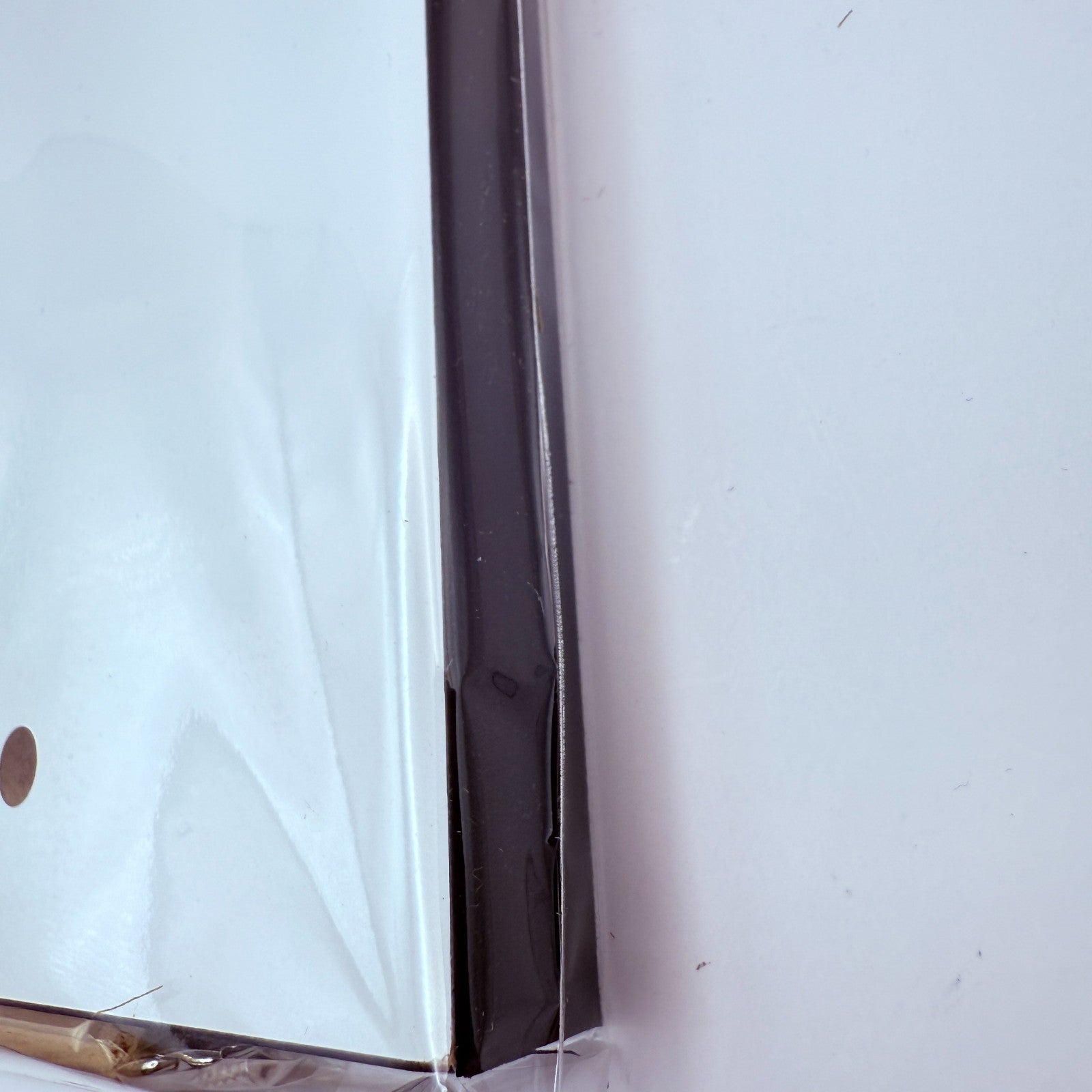 Apothecary Diaries Maomao Favorite Panel TOHO Store 10th Limited New4