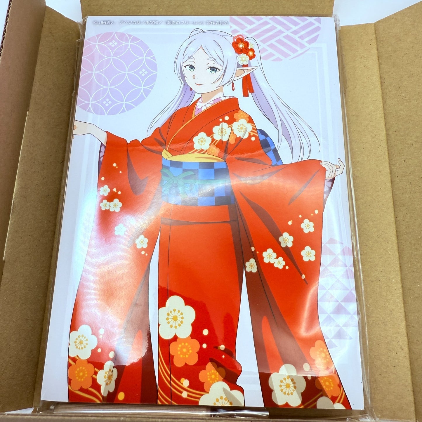 Frieren Beyond Journey's End Favorite Panel TOHO Store 10th Limited New0