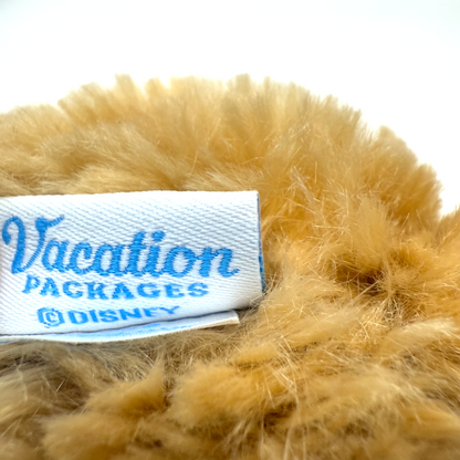 Tokyo Disney sea Duffy Shoulder Bag 20th limited Vacation Package[express]5