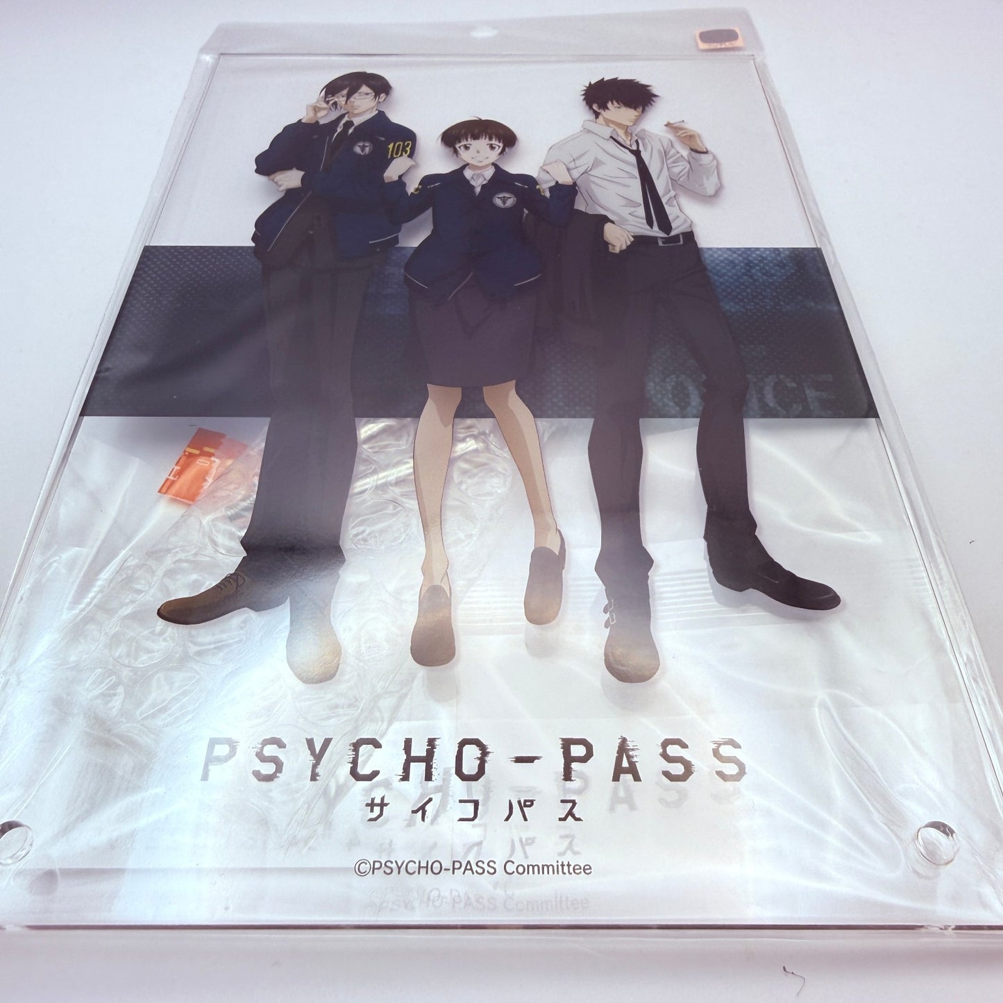 PsychoPass A5 Acrylic Board Noitamina 20th Anniversary Shop Exclusive Authentic6