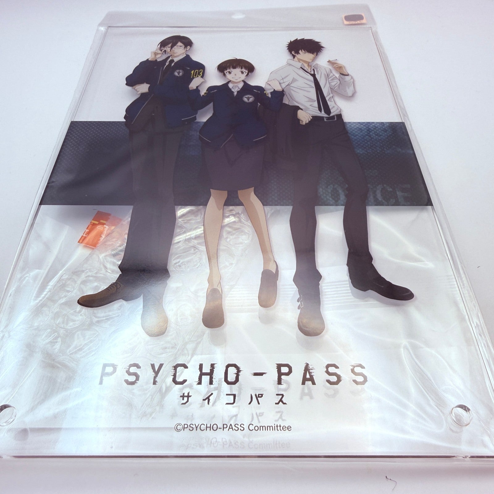 PsychoPass A5 Acrylic Board Noitamina 20th Anniversary Shop Exclusive Authentic6