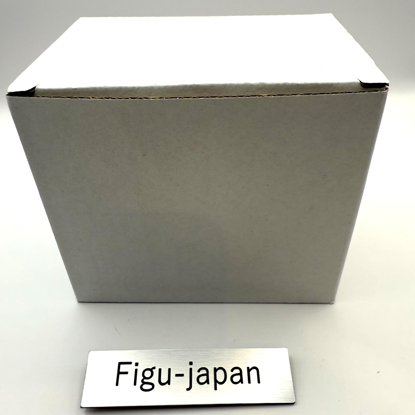 Serial experiments lain Iwakura Mug Yoshitoshi Abe 30th Exhibition[express]1