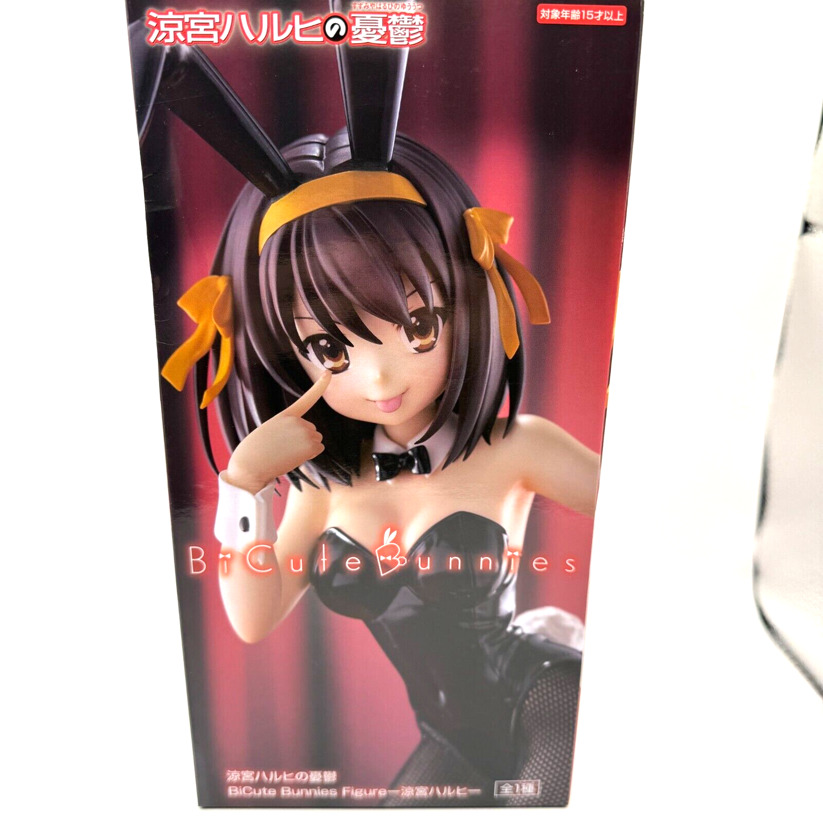 Haruhi Suzumiya Bi cute Bunnies Figure real Fishnet stockings New Japan7