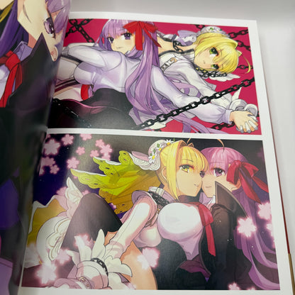 FGO Wada Arco Ai Fate Art Woks Illustration Book "Love" Fate/EXTRA [express]12