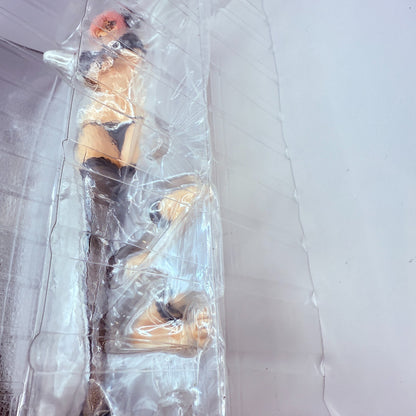 Super Sonico Swimsuit Gravure Ver. SKYTUBE SoniComi 1/6 Scale figure [express]7