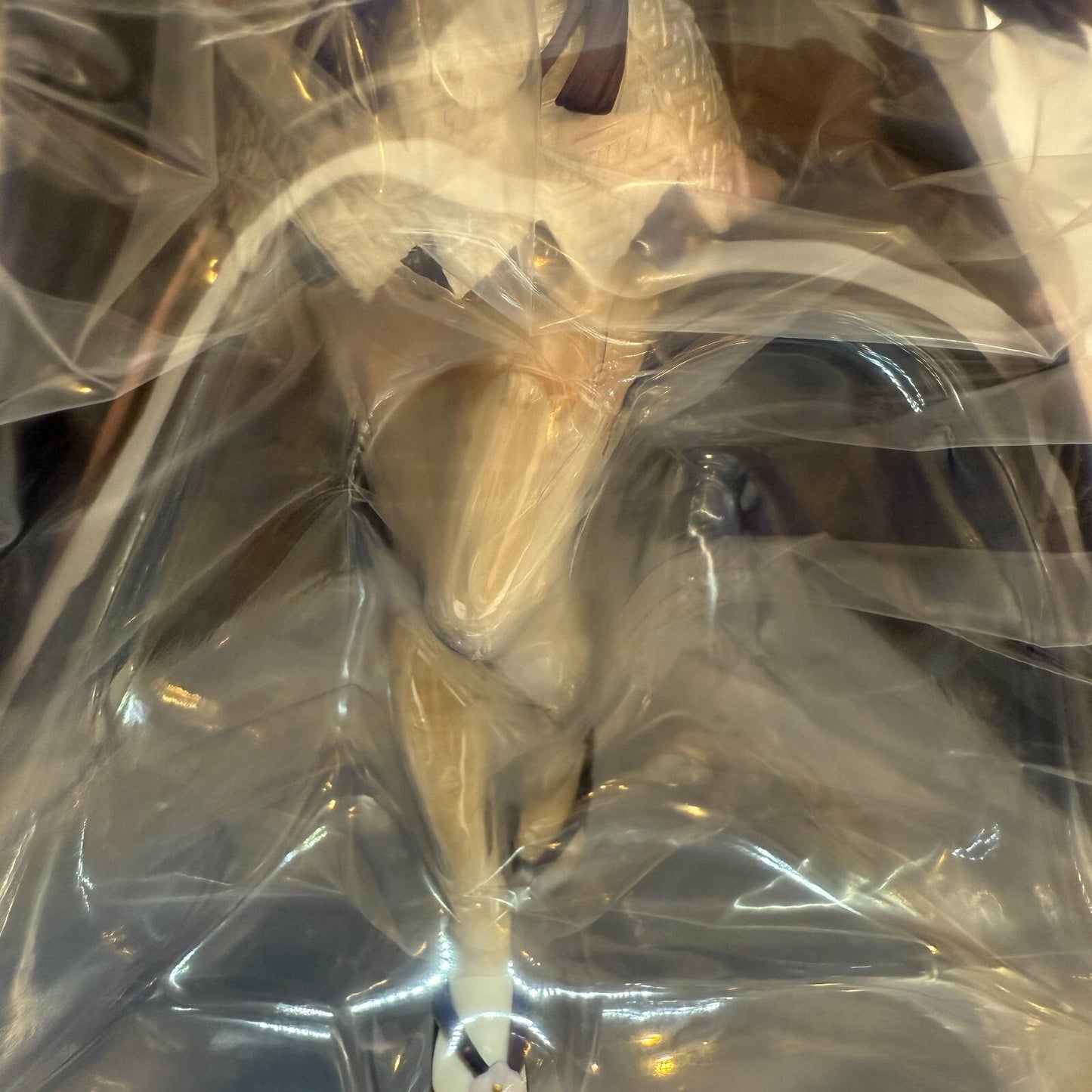 Is It Wrong to Try to Pick Up Girls in a Dungeon? Hestia Shiromuku [express]7