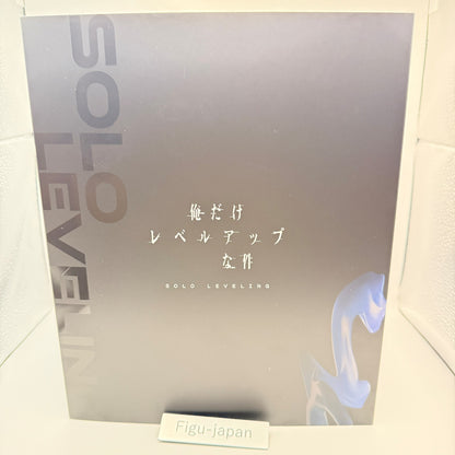 Sung Jinwoo Solo Leveling Figure Piccoma Kuji A Prize Kakao Piccoma MISB2
