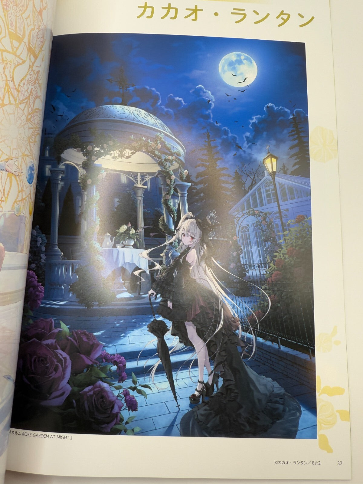 Anime Mook Illustration Art Book Juneamour Vol.18 japan new[express]4