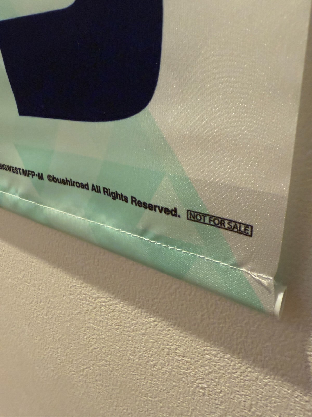 Macross Ranka Lee B2 Tapestry Macross shootinginsight [express]2