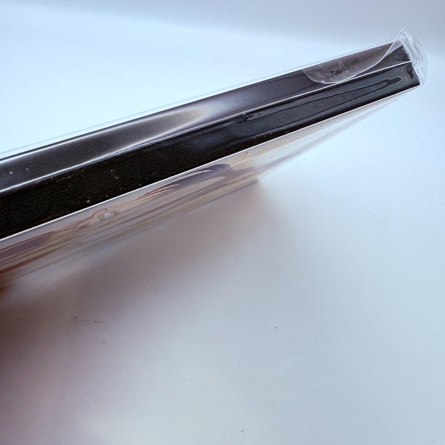 Apothecary Diaries Jinshi Favorite Panel TOHO Store 10th Limited New2