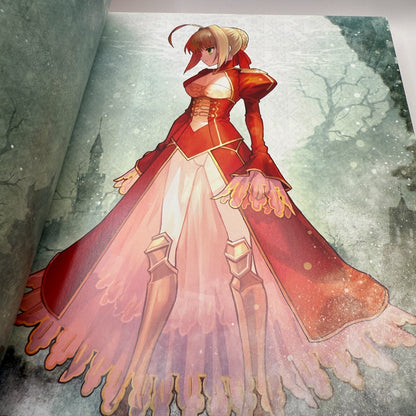 FGO Wada Arco Ai Fate Art Woks Illustration Book "Love" Fate/EXTRA [express]5