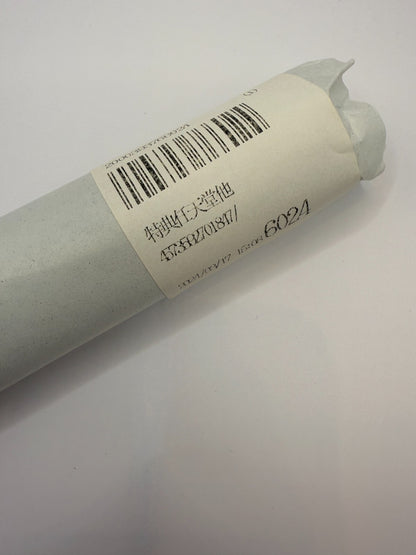 Macross Ranka Lee B2 Tapestry Macross shootinginsight [express]9