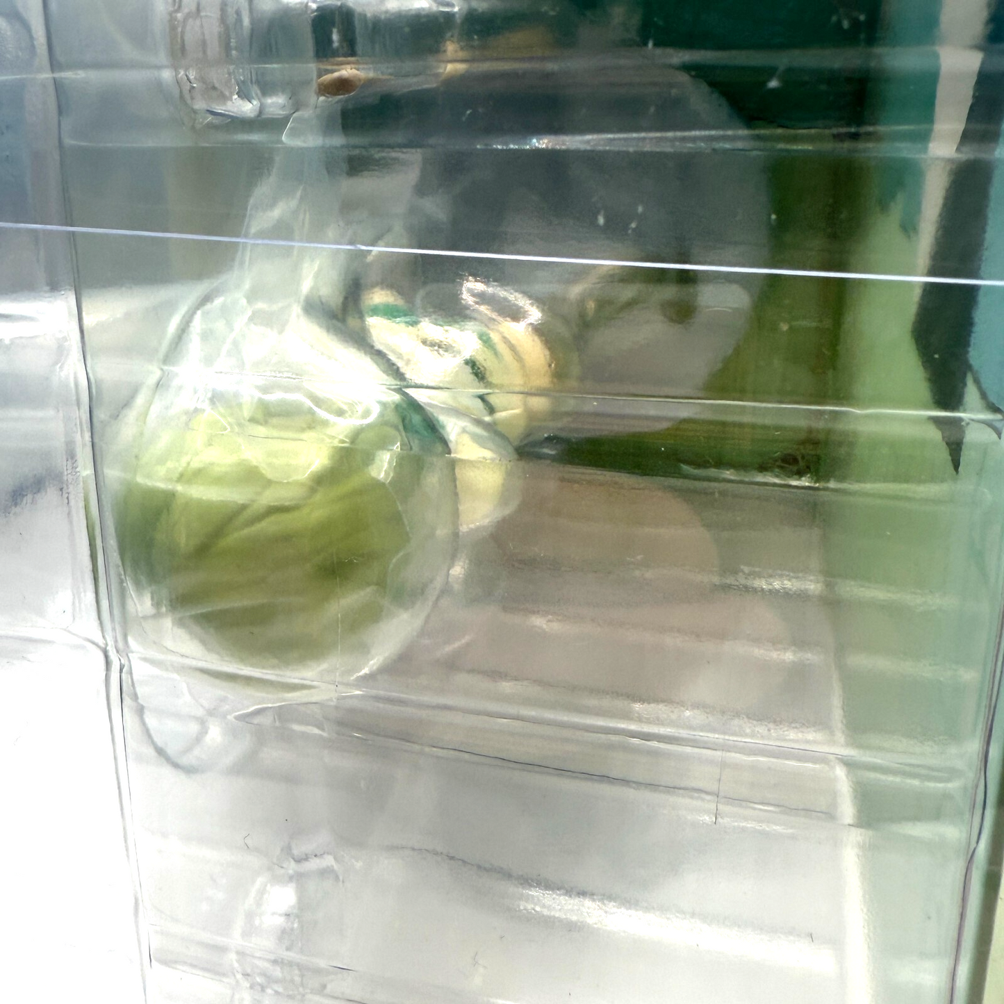 Is It Wrong to Try to Pick Up Girls in a Dungeon? Ryuu Lion limited[express NEW]5