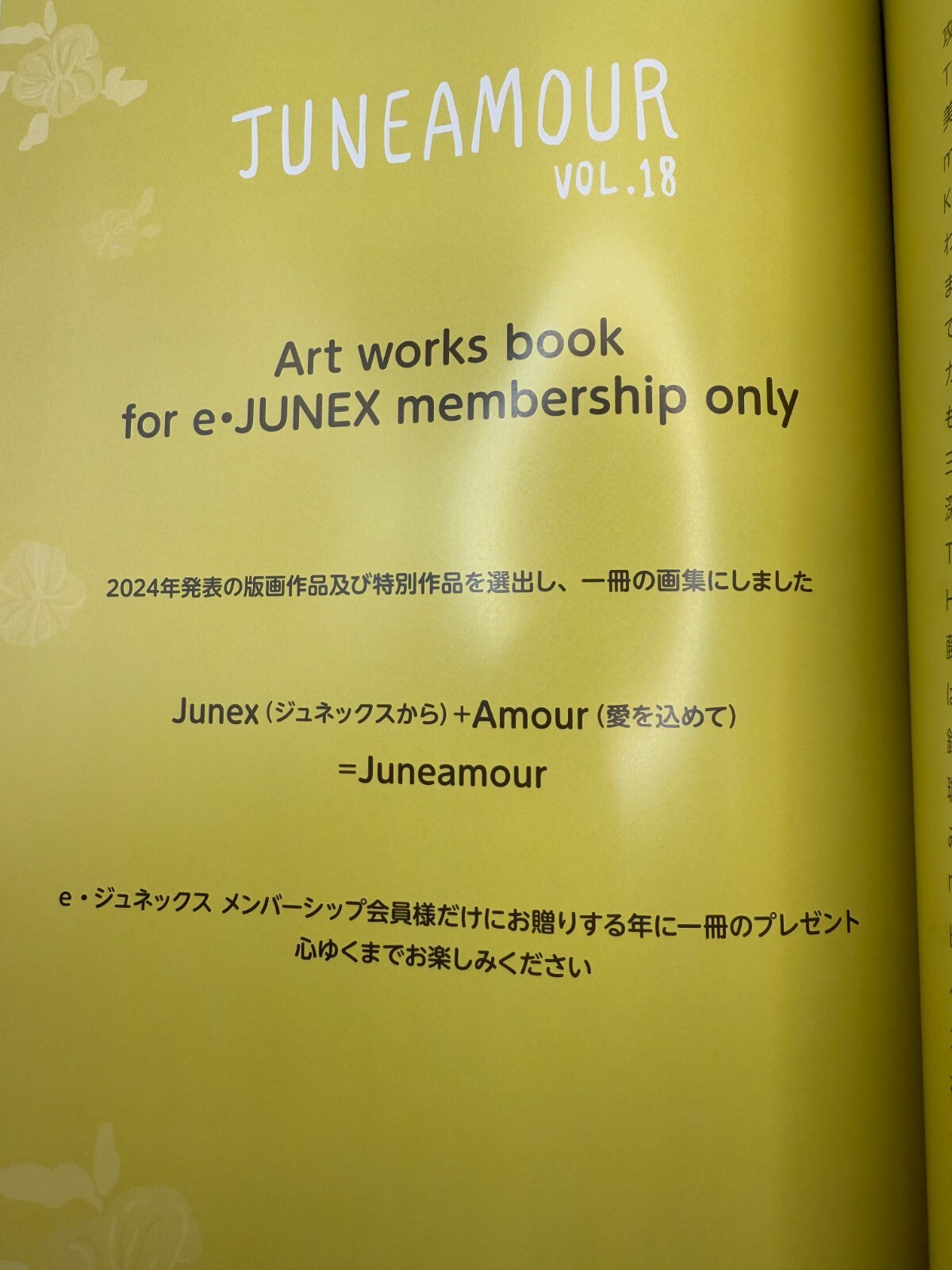 Anime Mook Illustration Art Book Juneamour Vol.18 japan new[express]15