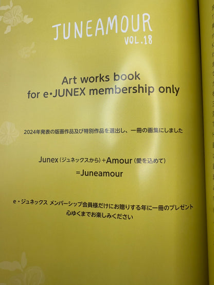 Anime Mook Illustration Art Book Juneamour Vol.18 japan new[express]15