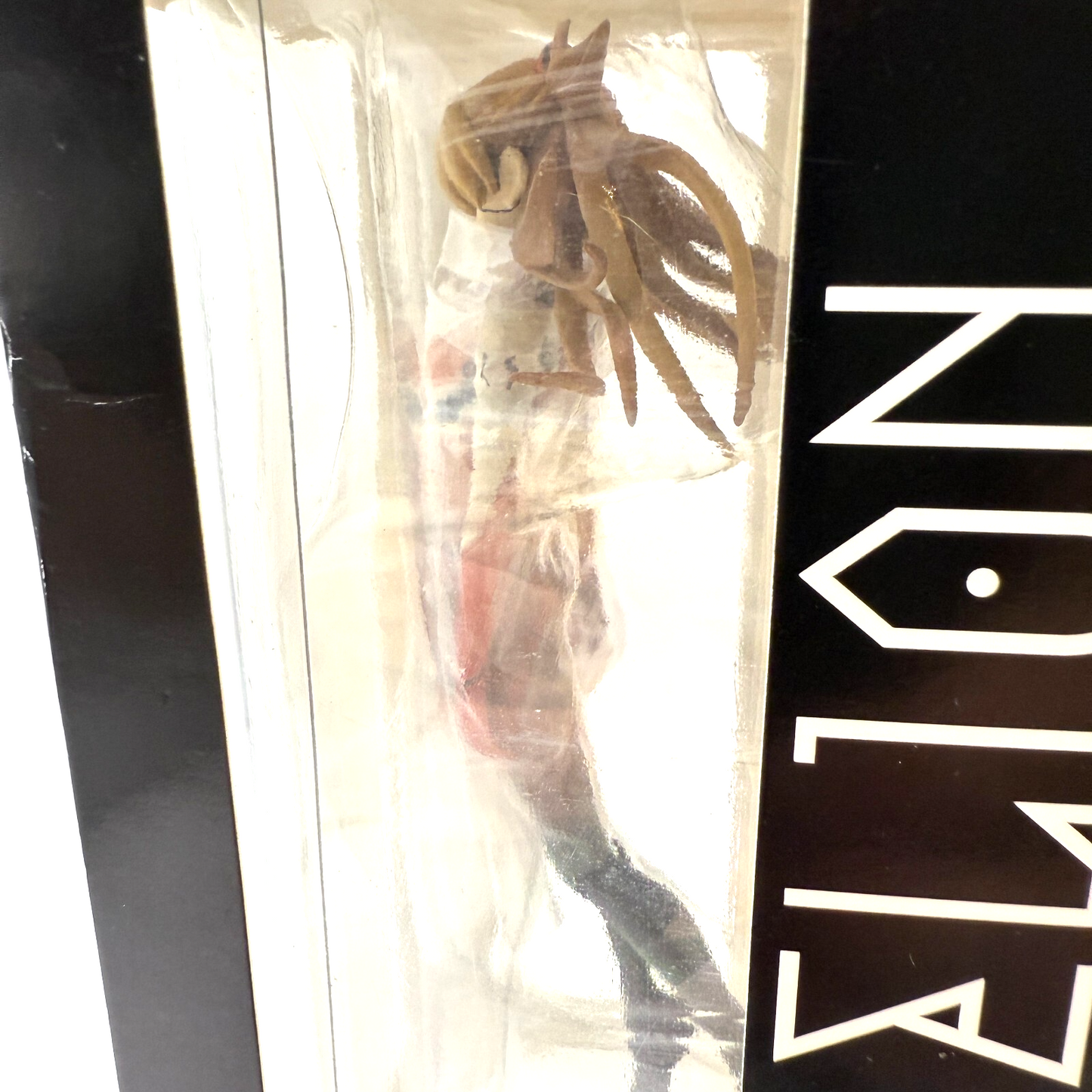 Asuka Langley Figure Evangelion Exhibition YOKOHAMA Limited Movic Sadamoto NEW4