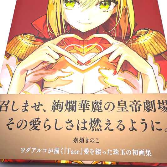 FGO Wada Arco Ai Fate Art Woks Illustration Book "Love" Fate/EXTRA [express]0