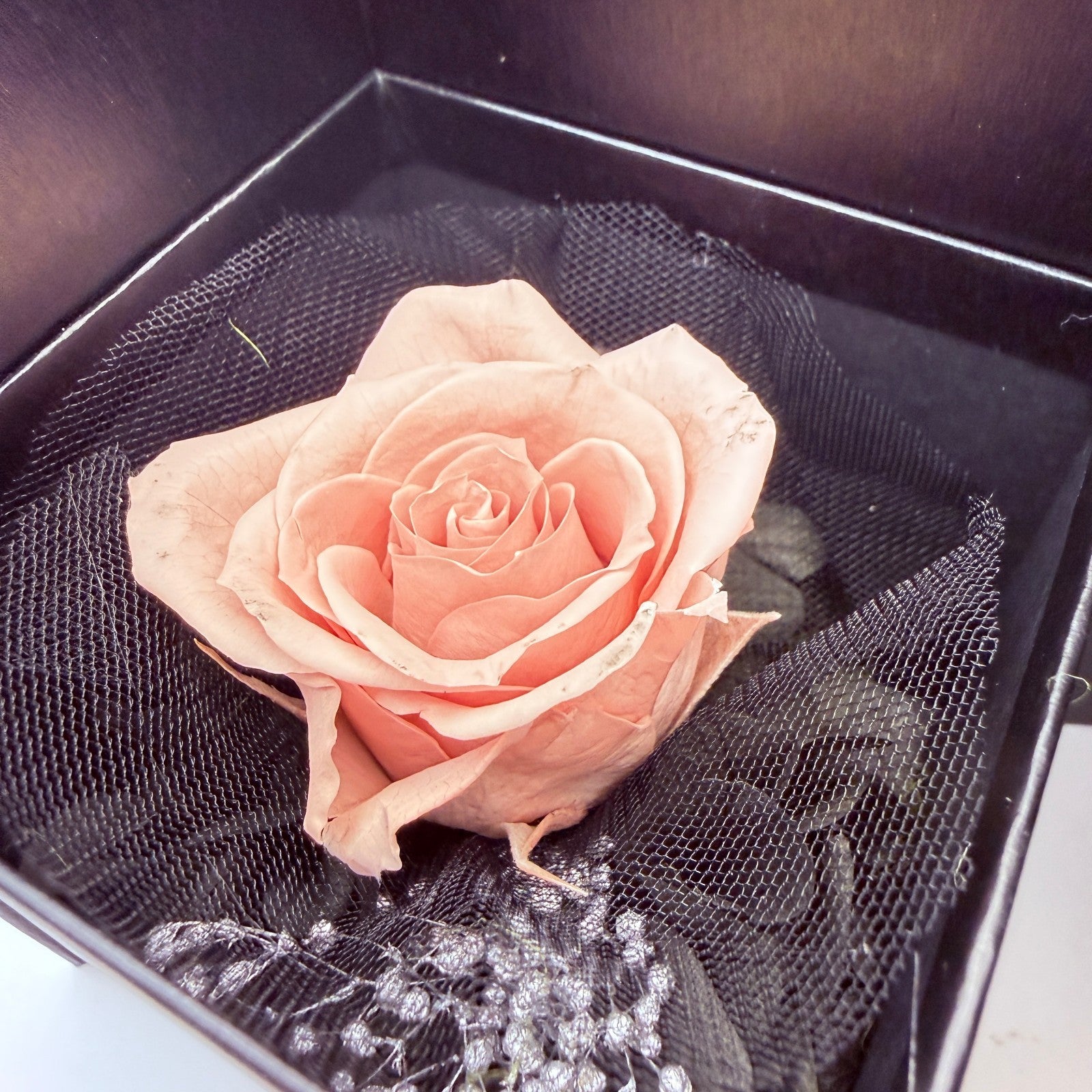 RESERVED Nazuna Nanakusa Ring Size 23 Call of the Night Yofukashi no Uta New3
