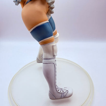 Rainbow Mika CAPCOMANIAX Street Fighter Alpha 3 MegaHouse Figure 1/8 Scale VGUC14