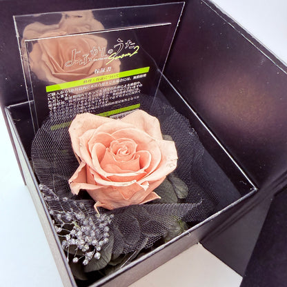 Nazuna Nanakusa Ring Size 10 Call of the Night Yofukashi no Uta Authentic Mint5