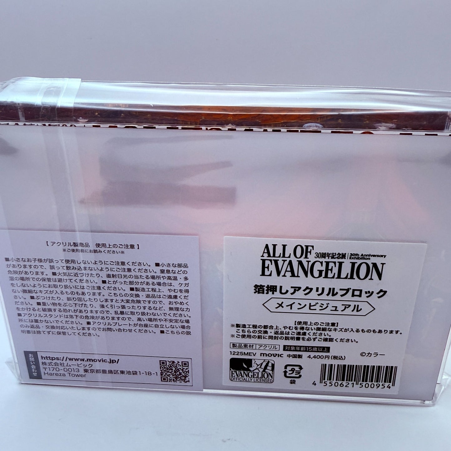 ALL OF EVANGELION 30th Anniversary Key Visual Embossed Acrylic Block Japan New9