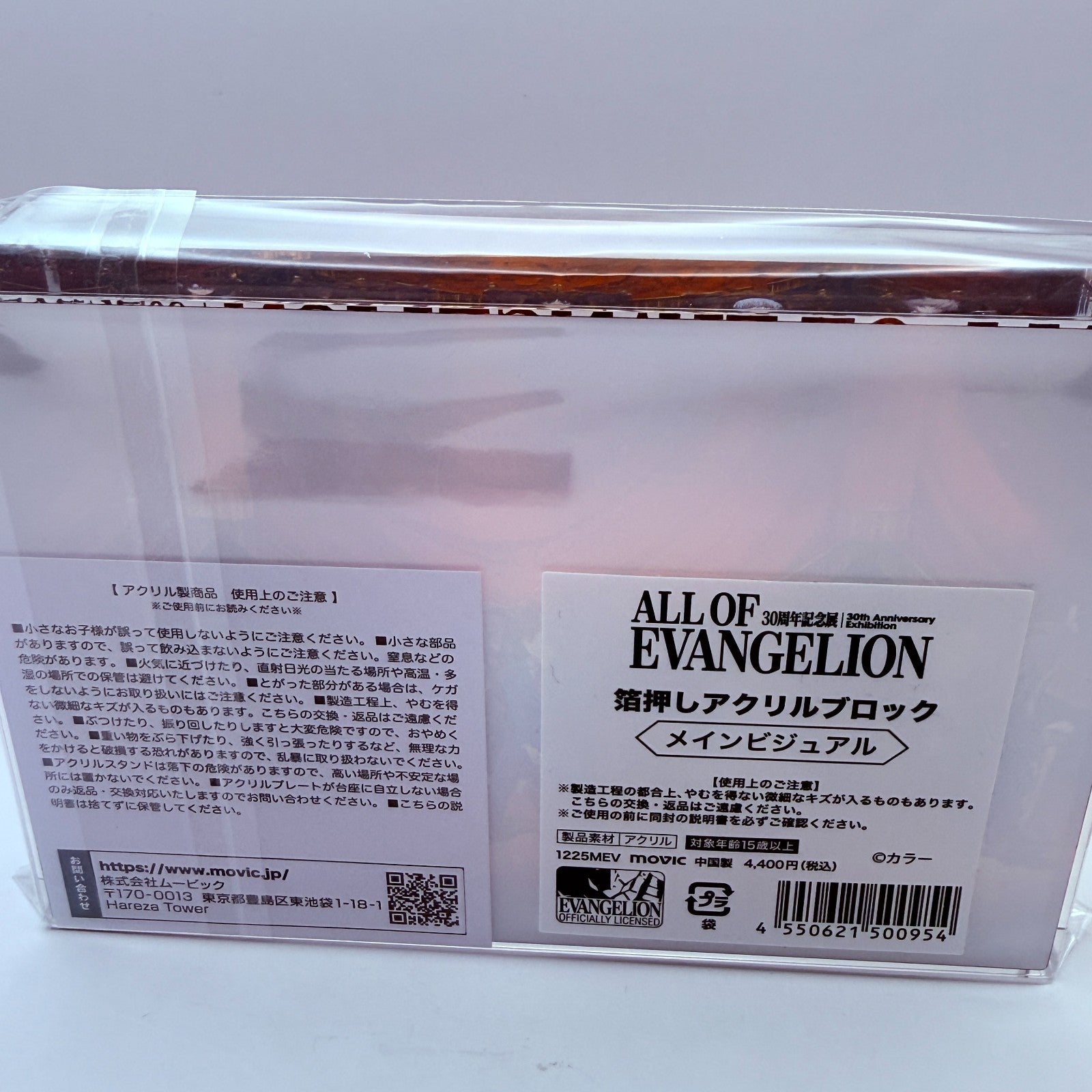 ALL OF EVANGELION 30th Anniversary Key Visual Embossed Acrylic Block Japan New9
