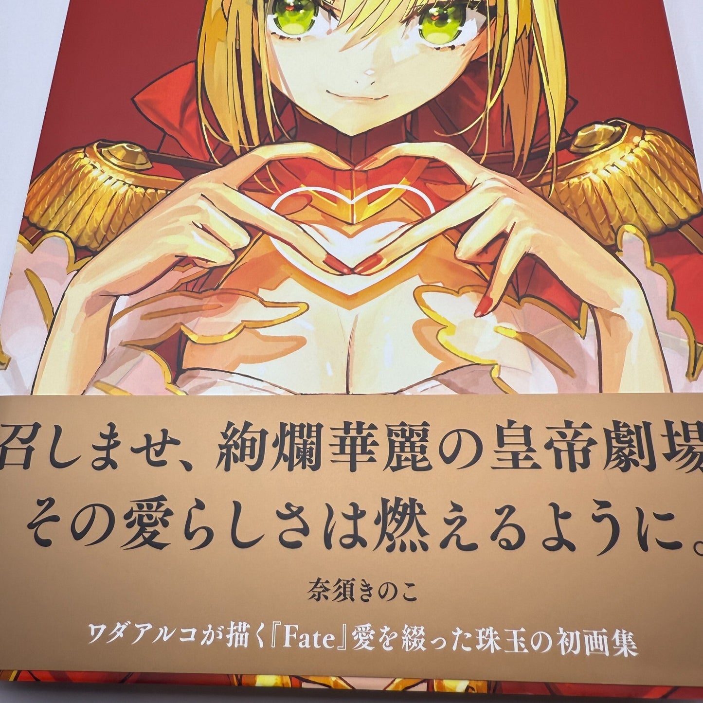 FGO Wada Arco Ai Fate Art Woks Illustration Book "Love" Fate/EXTRA [express]2