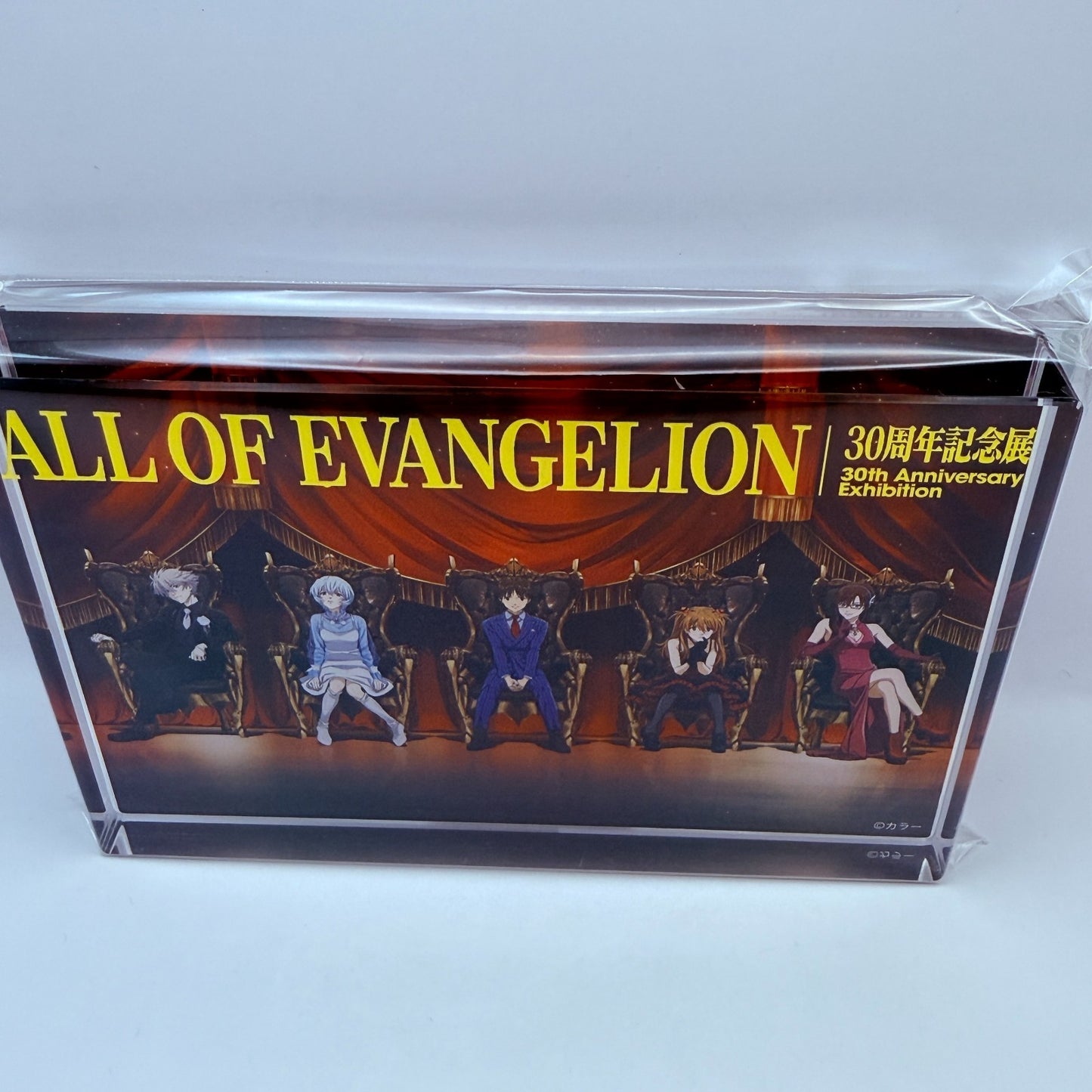 ALL OF EVANGELION 30th Anniversary Key Visual Embossed Acrylic Block Japan New11