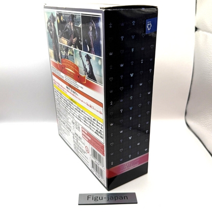 Kingdom Hearts Sora Pirates of the Caribbean Version Figure from japan12