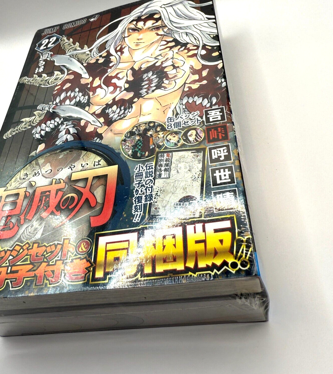 Demon Slayer Kimetsu no Yaiba Vol.22 Special Edition Button Badge &amp; Booklet NEW 